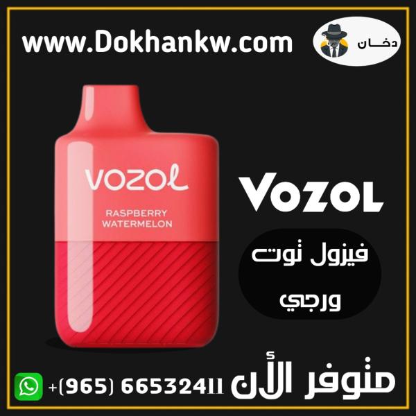 Vozol disposable 3000 puffs