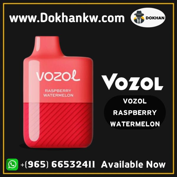 Vozol disposable 3000 puffs