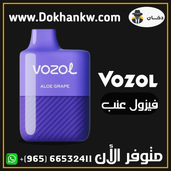 Vozol disposable 3000 puffs