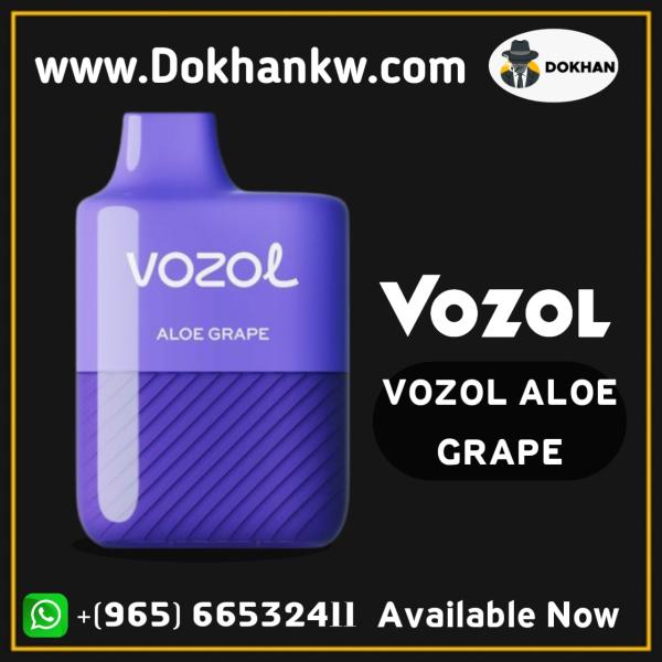 Vozol disposable 3000 puffs