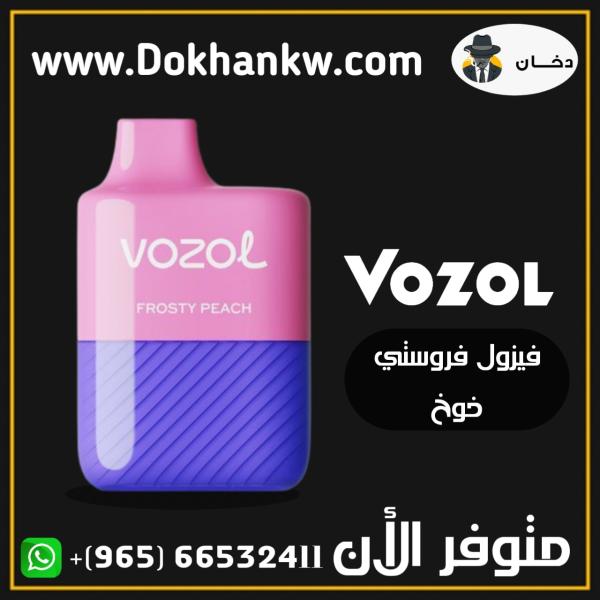 Vozol disposable 3000 puffs