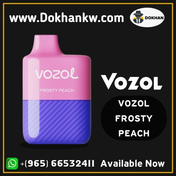 Vozol disposable 3000 puffs