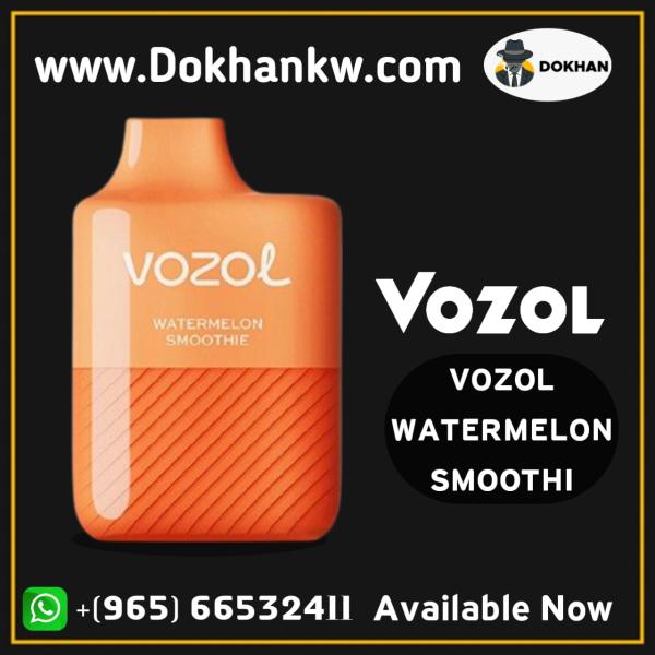 Vozol disposable 3000 puffs